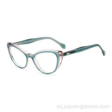 Elegantes colores fríos femeninos de femenina en las gafas de gafas de caldo